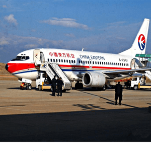 滨海机场物流航空快运业稳步发展的原因是什么？